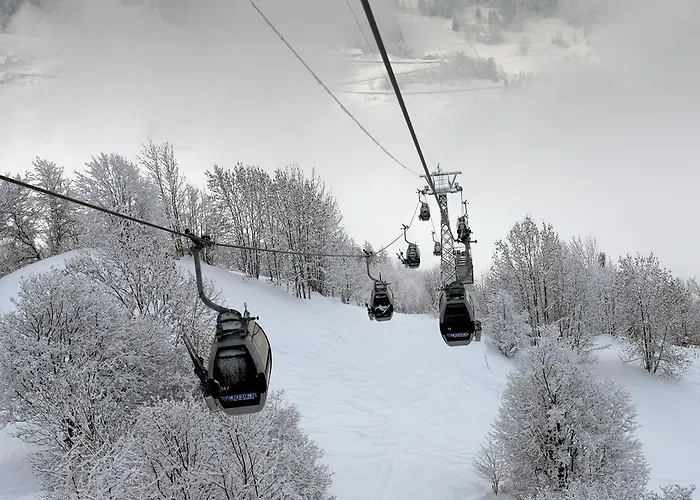 Studio Grands Ducs 222 *